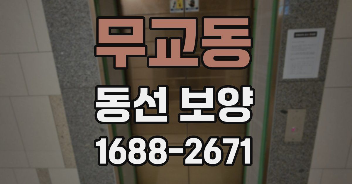 무교동 동선 보양