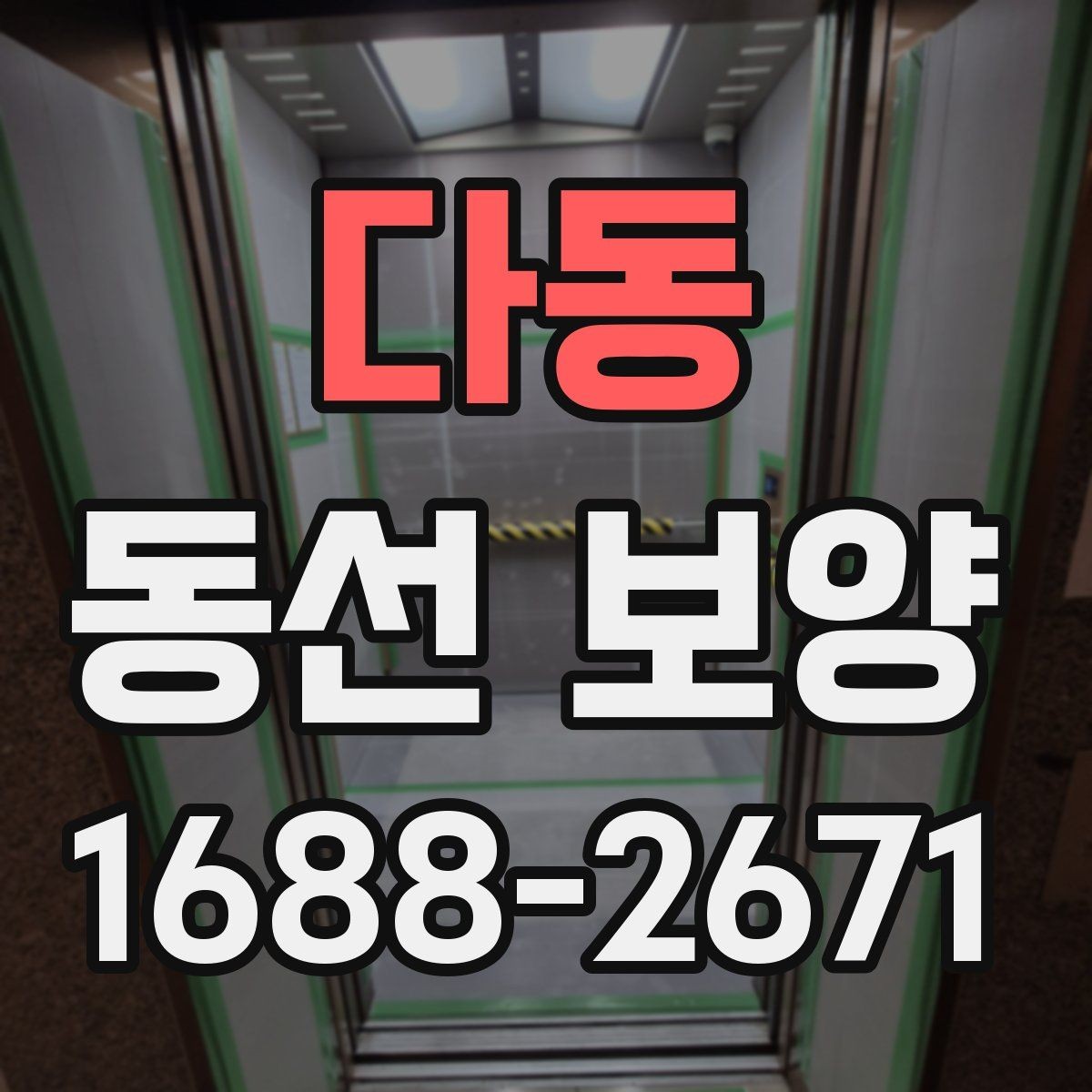 다동 동선 보양 작업을 효율적으로 끝내는 체크포인트