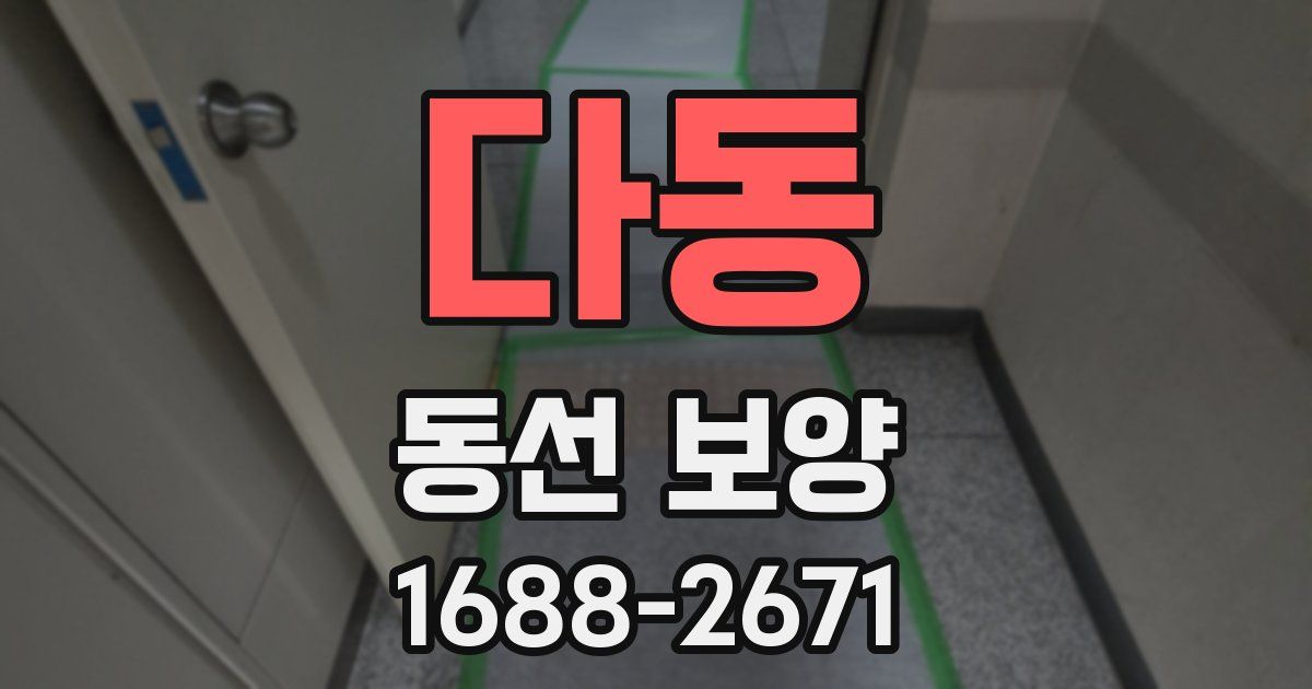 다동 동선 보양