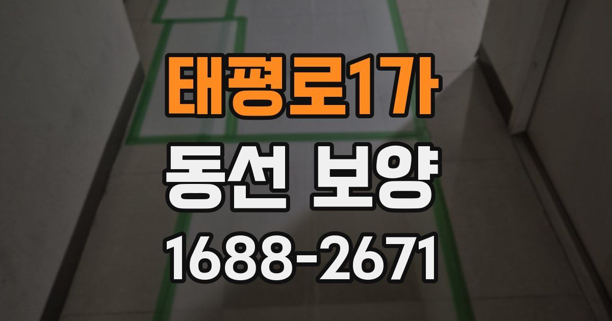 태평로1가 동선 보양