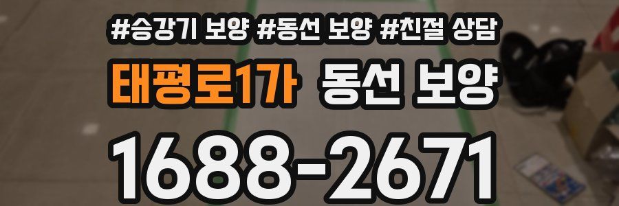 태평로1가 동선 보양