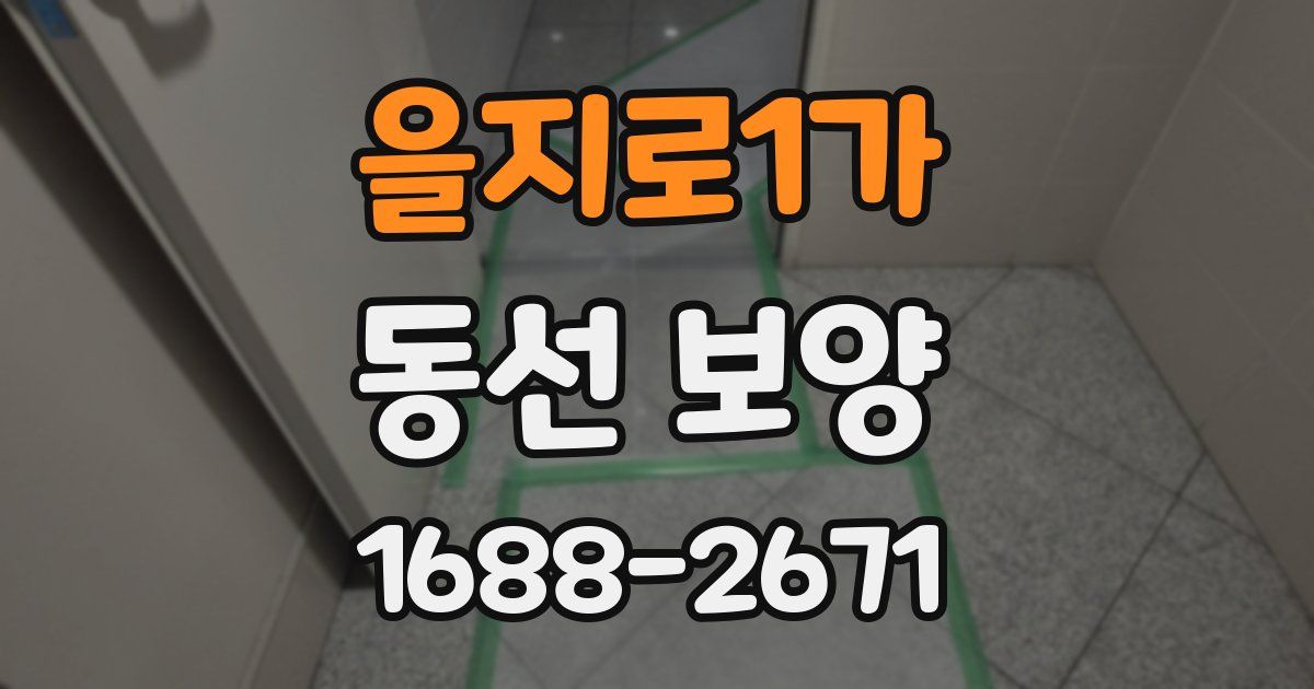 을지로1가 동선 보양