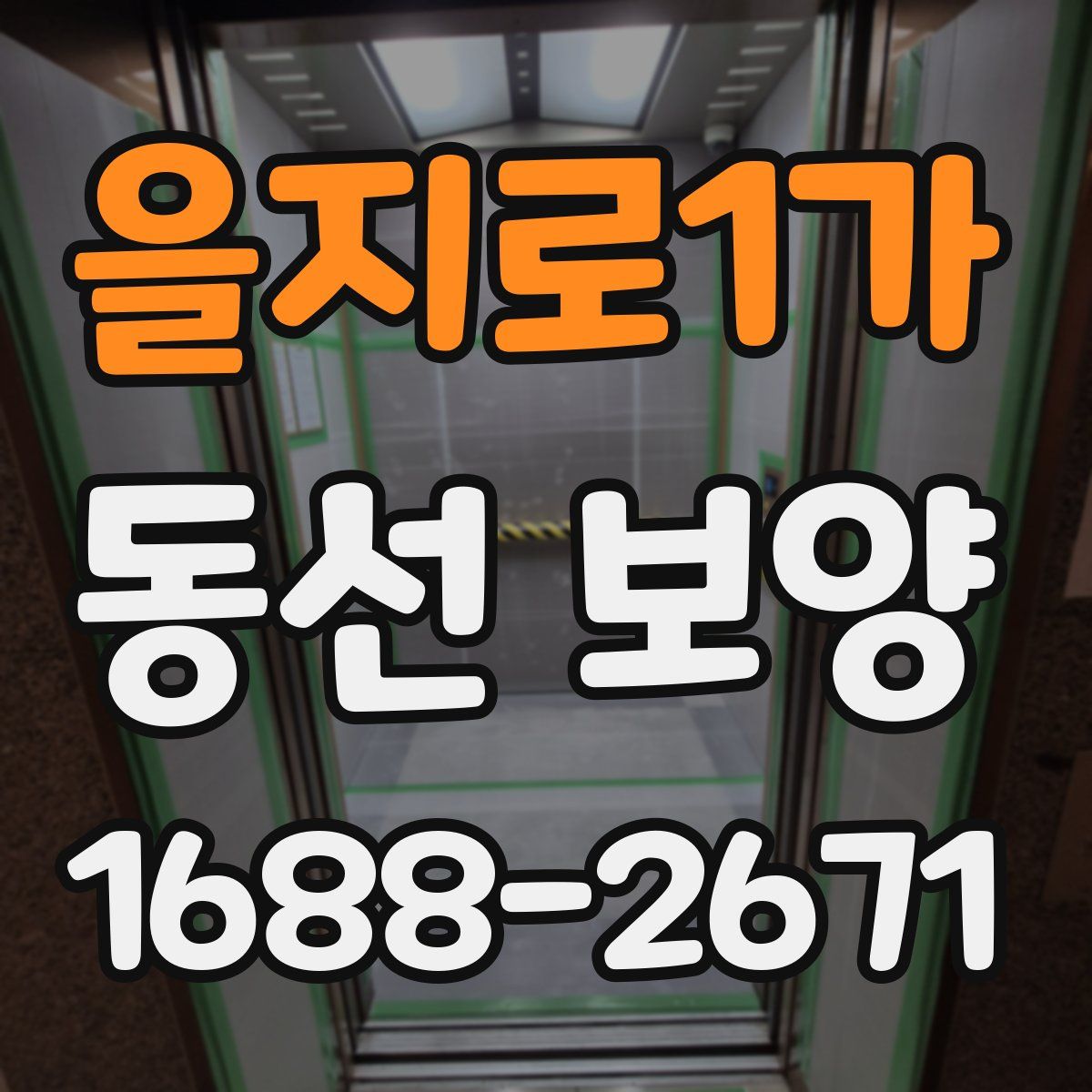 을지로1가 동선 보양