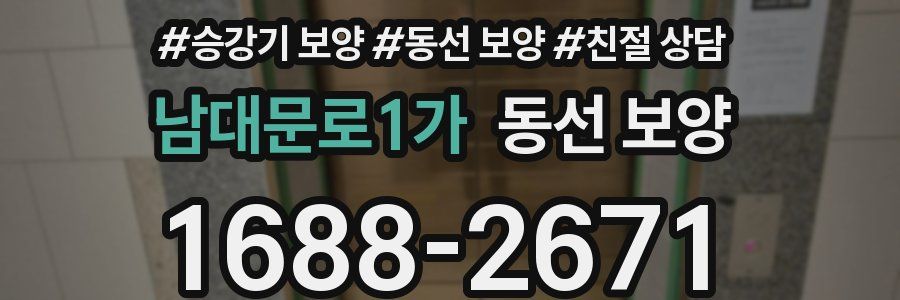 남대문로1가 동선 보양