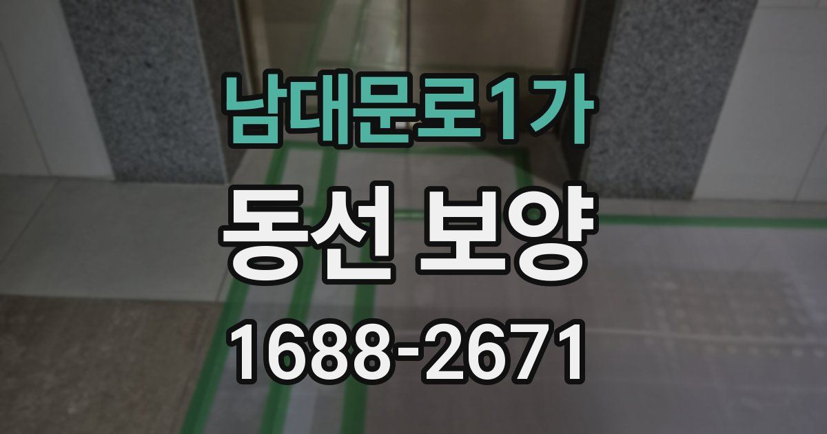 남대문로1가 동선 보양
