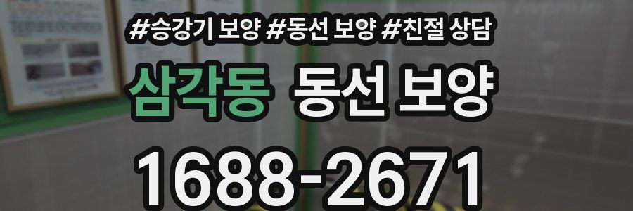 삼각동 동선 보양
