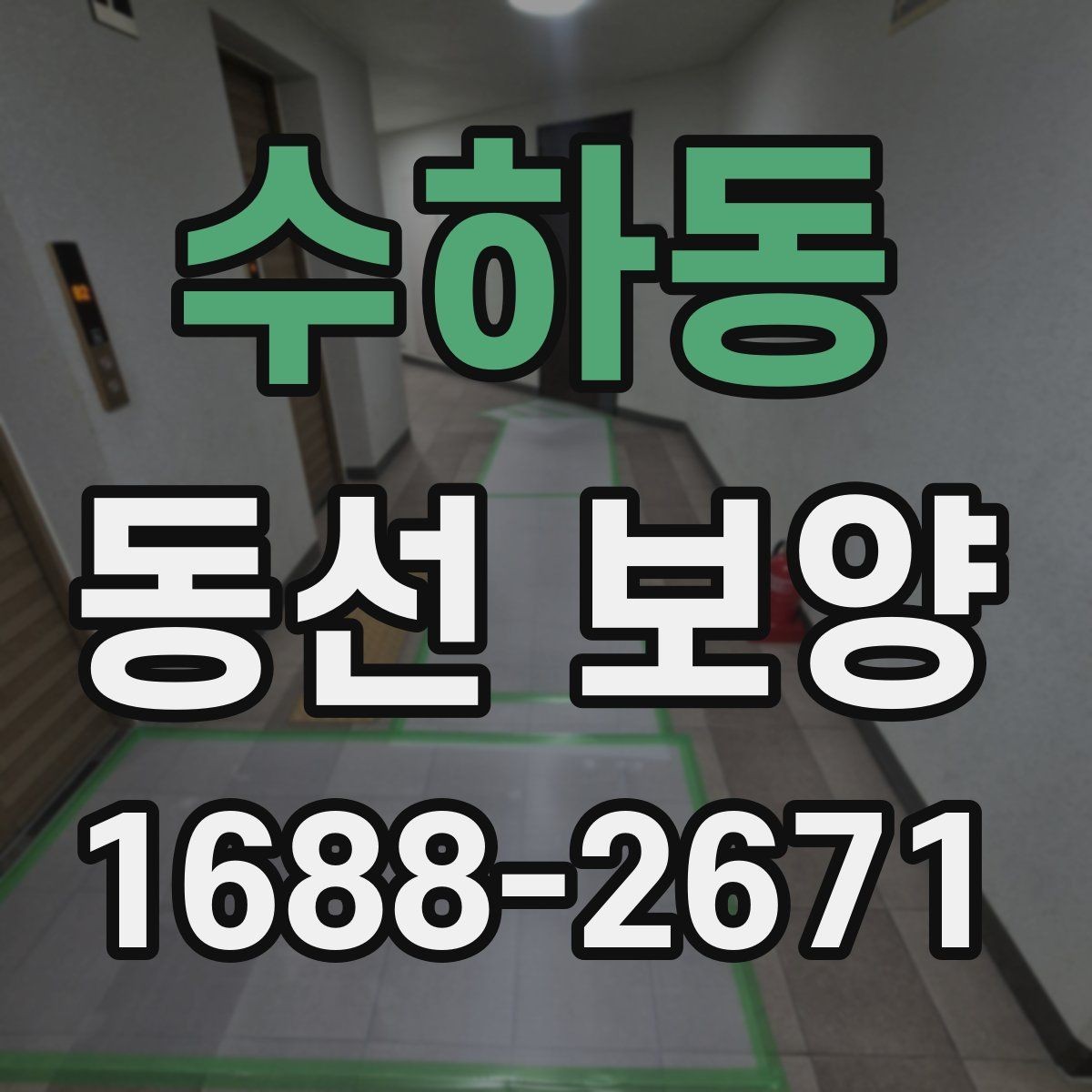 수하동 동선 보양 업체를 볼 때 확인할 기준