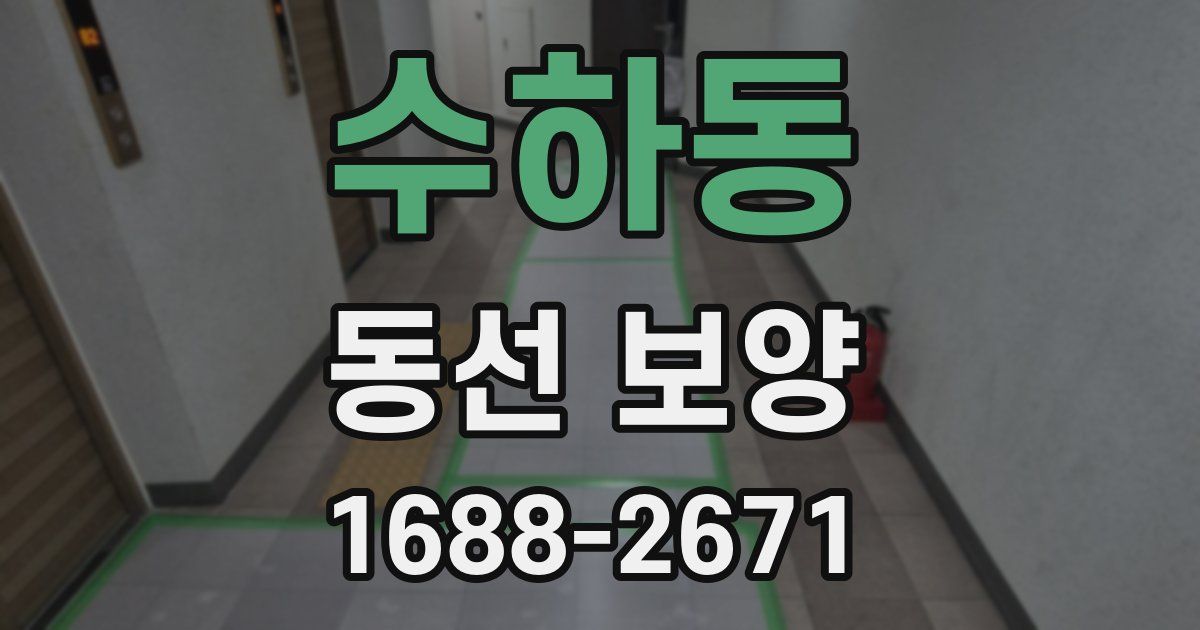 수하동 동선 보양