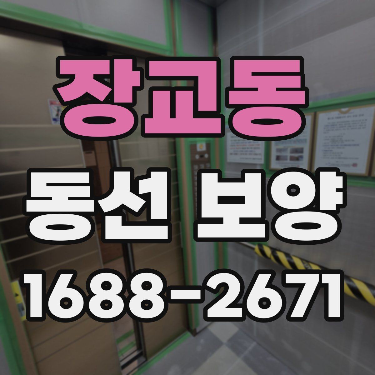 장교동 동선 보양 범위 설정과 작업 준비 방법