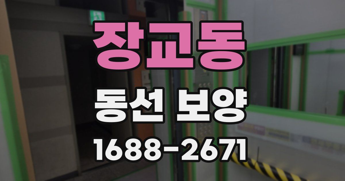장교동 동선 보양