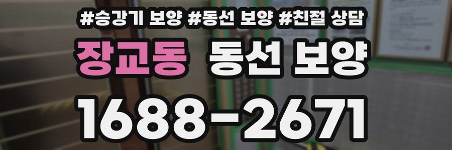 장교동 동선 보양
