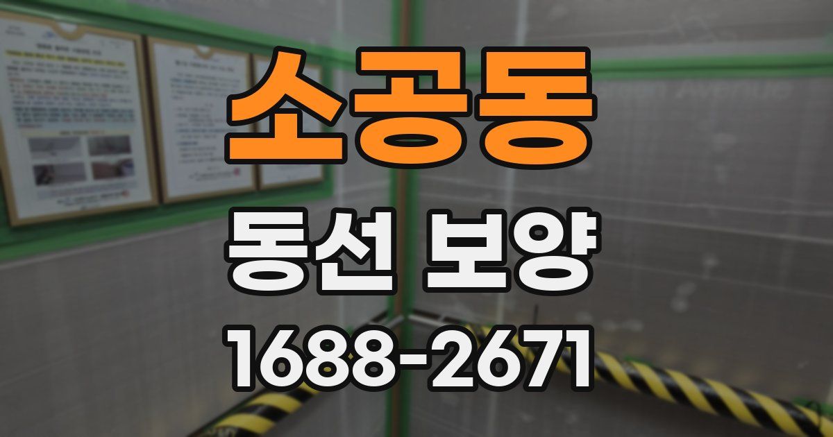 소공동 동선 보양