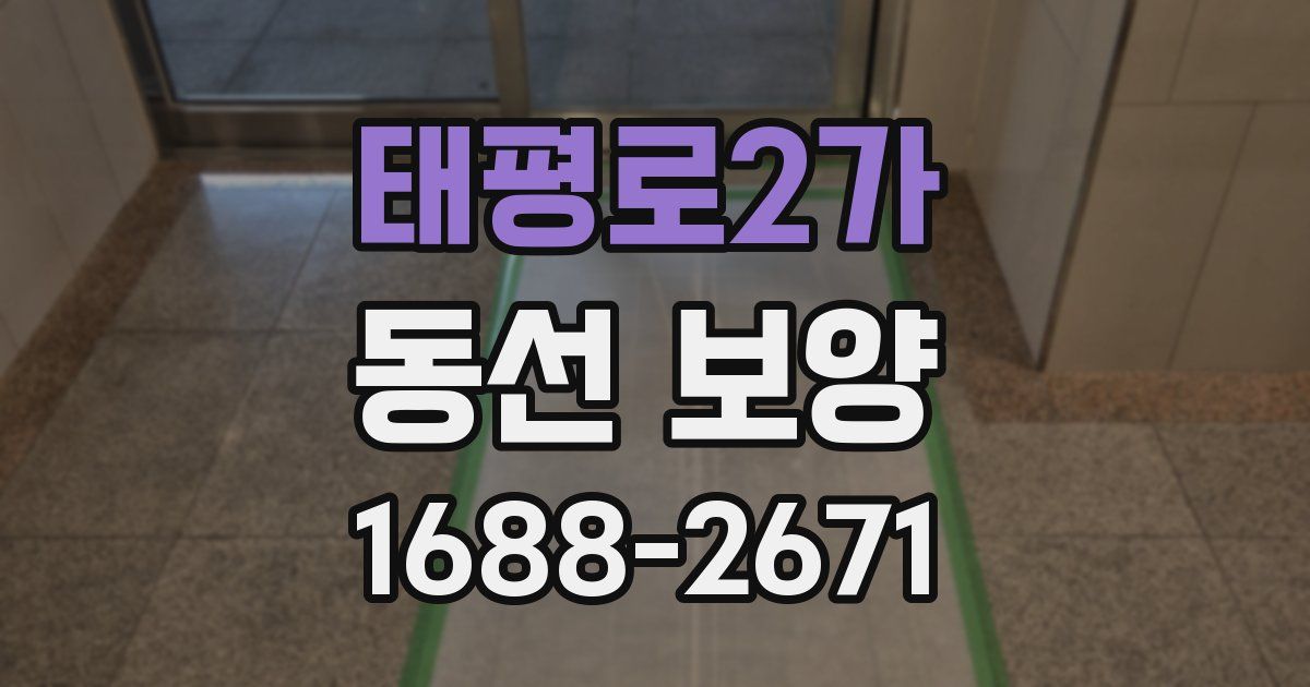 태평로2가 동선 보양