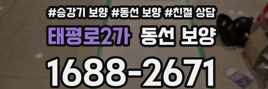 태평로2가 동선 보양