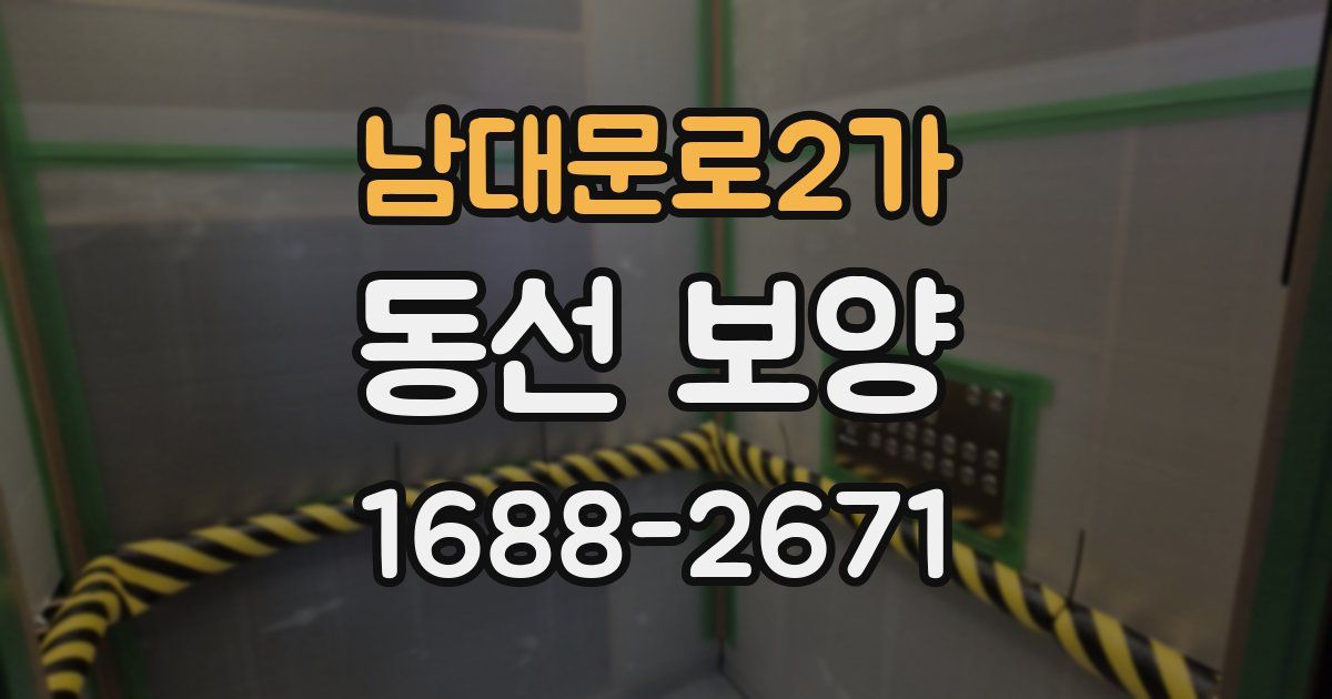 남대문로2가 동선 보양