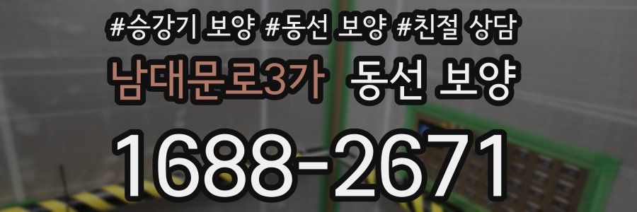 남대문로3가 동선 보양