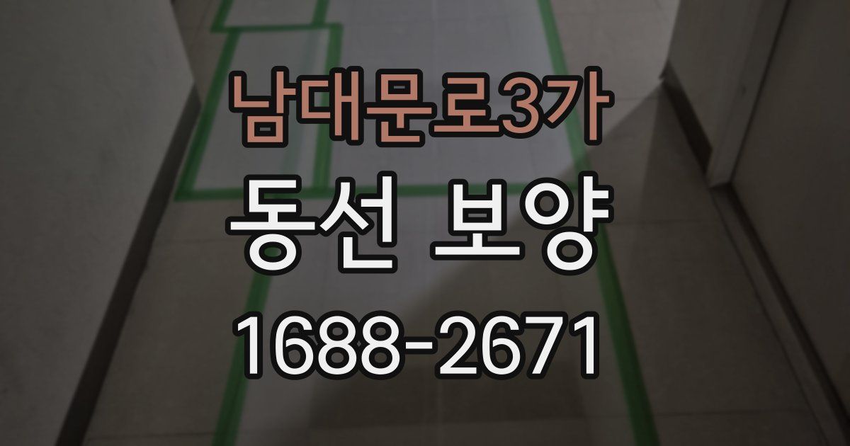 남대문로3가 동선 보양