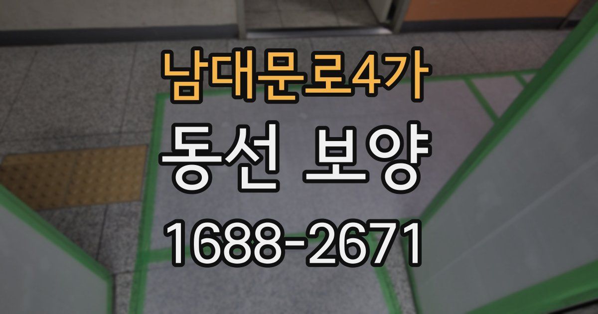 남대문로4가 동선 보양