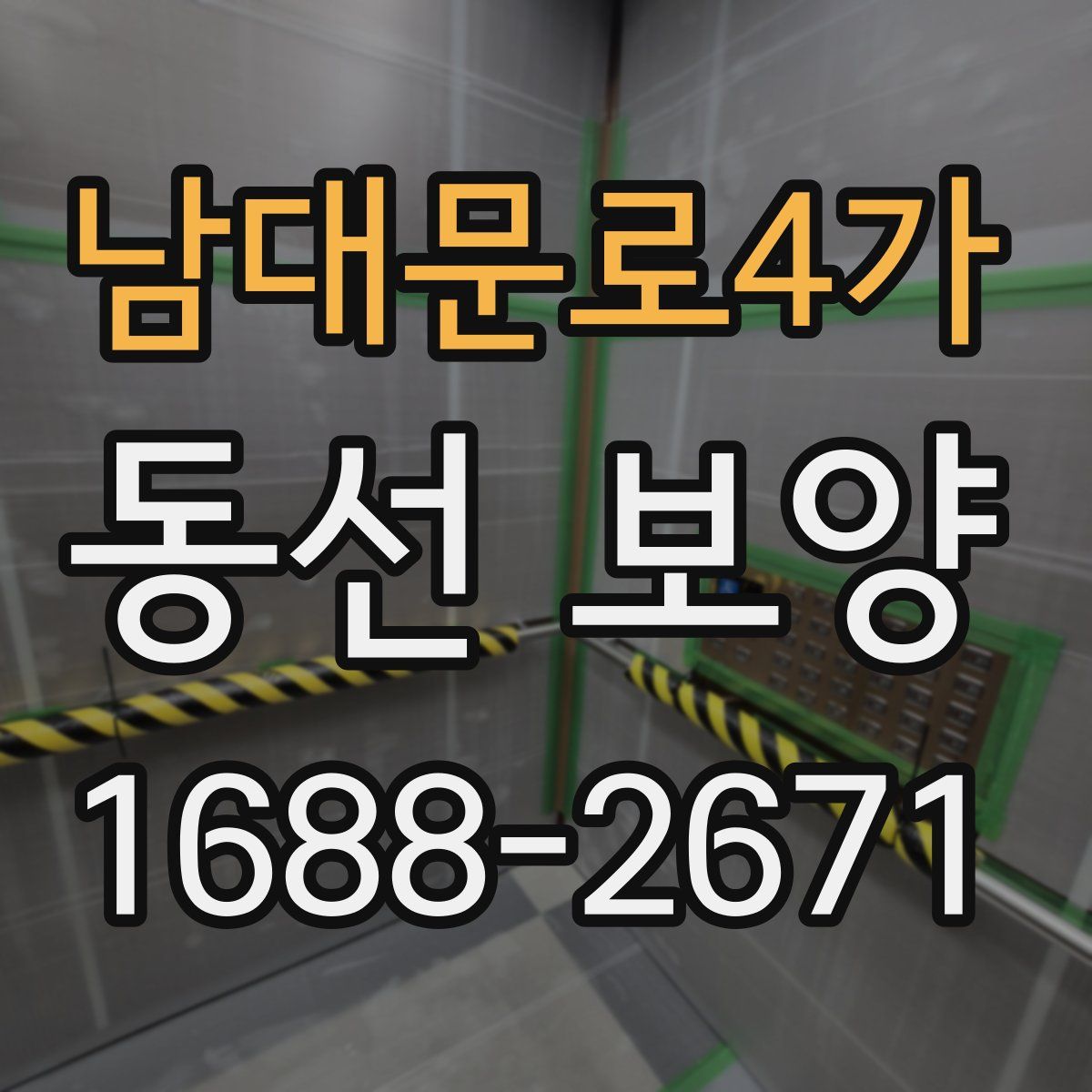 남대문로4가 동선 보양