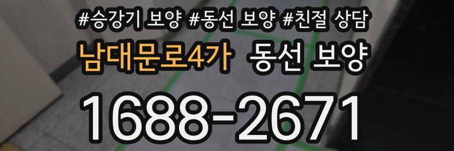 남대문로4가 동선 보양