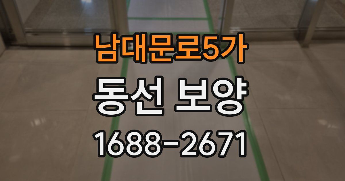 남대문로5가 동선 보양
