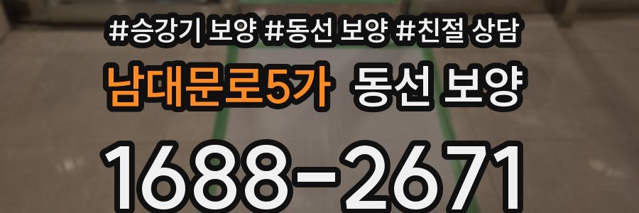 남대문로5가 동선 보양