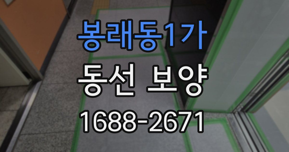 봉래동1가 동선 보양