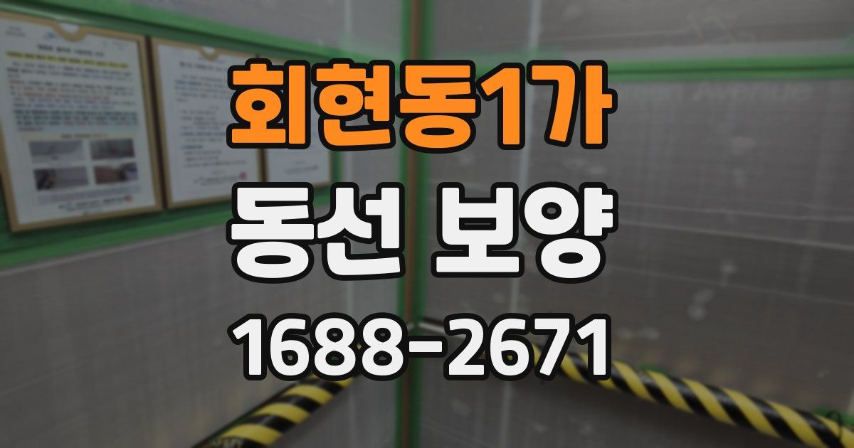 회현동1가 동선 보양