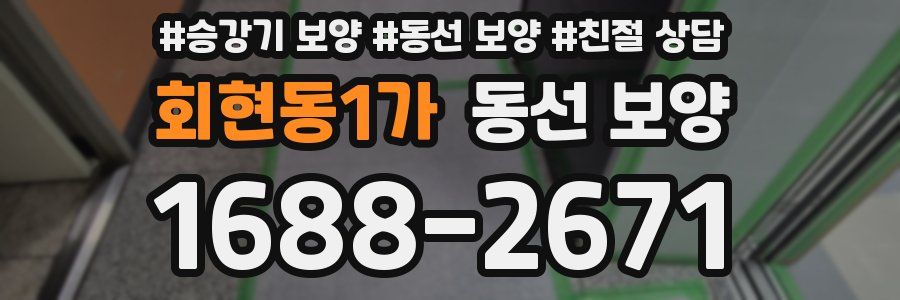 회현동1가 동선 보양