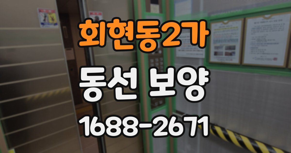 회현동2가 동선 보양