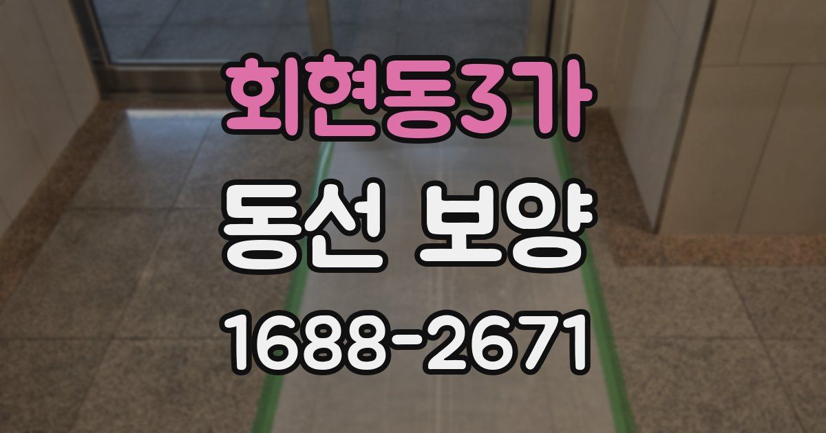 회현동3가 동선 보양