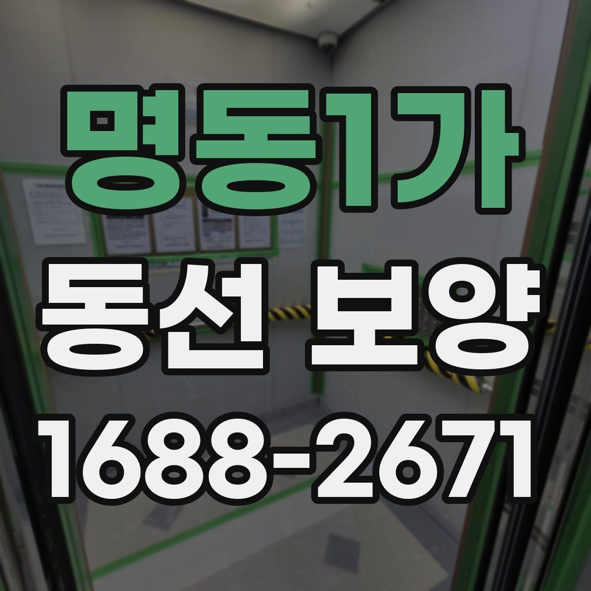 명동1가 동선 보양 비용과 범위는 어떻게 달라질까