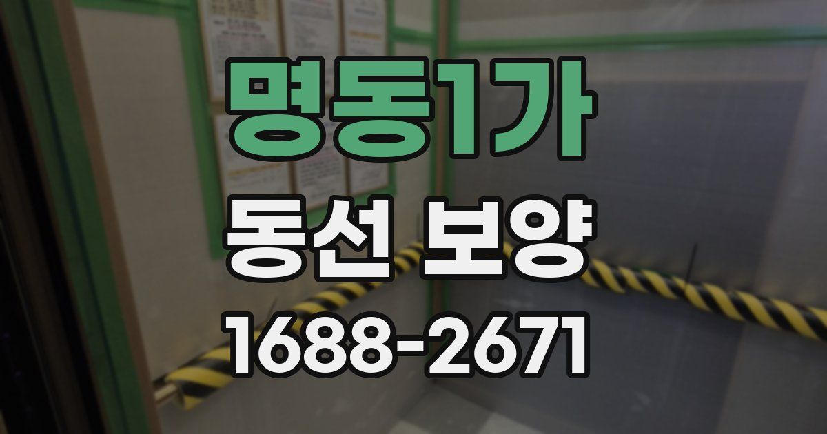 명동1가 동선 보양