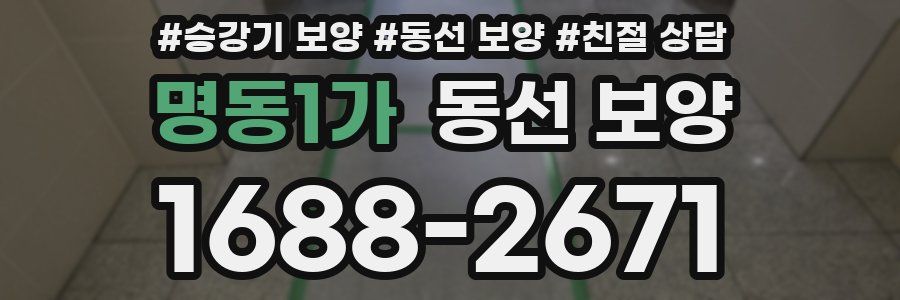 명동1가 동선 보양