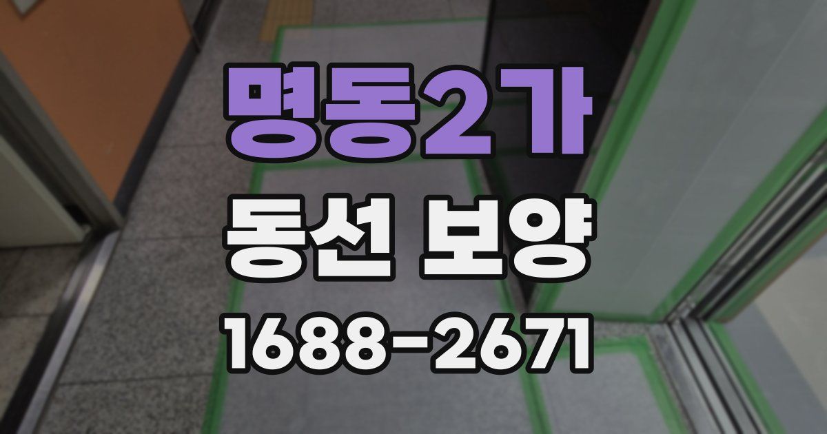 명동2가 동선 보양