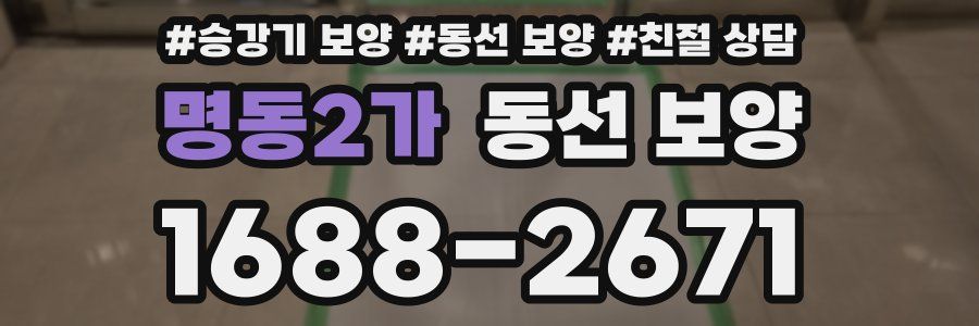명동2가 동선 보양