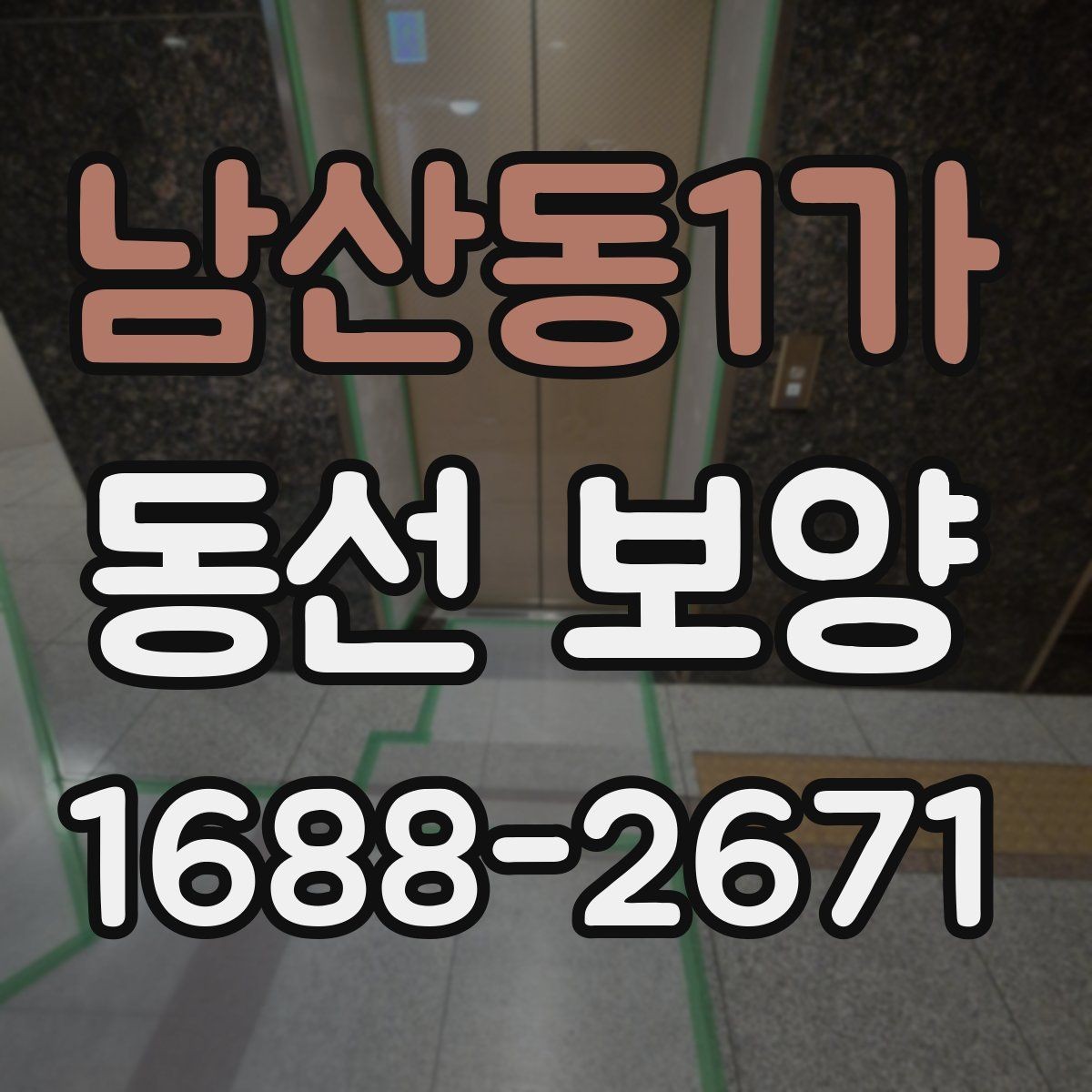남산동1가 동선 보양 적용 사례를 통해 보는 차이