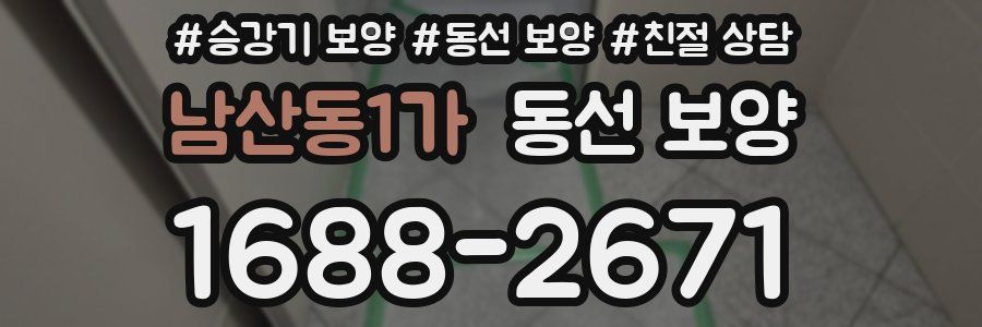 남산동1가 동선 보양