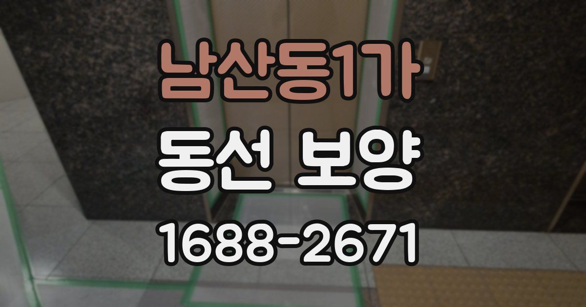 남산동1가 동선 보양