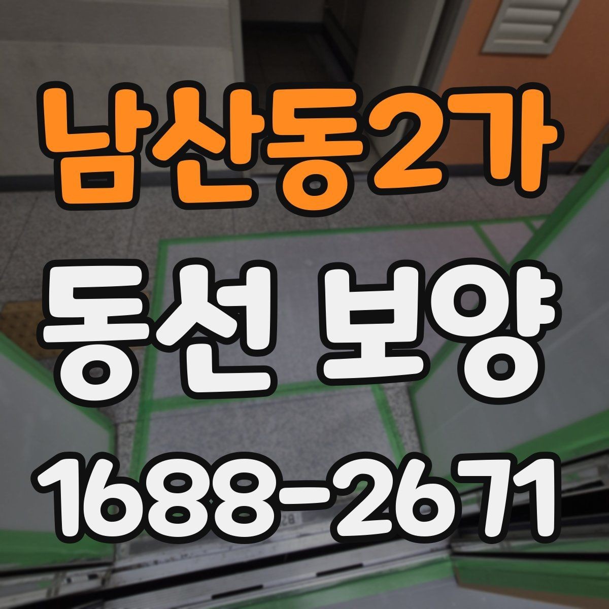 남산동2가 동선 보양 범위와 작업 흐름 알아보기