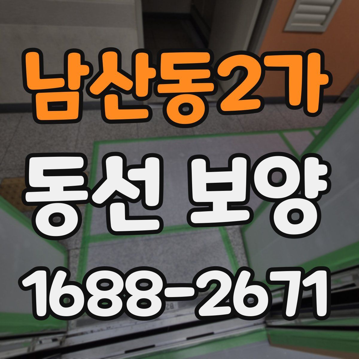 남산동2가 동선 보양