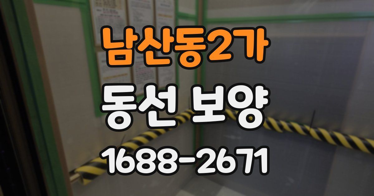 남산동2가 동선 보양