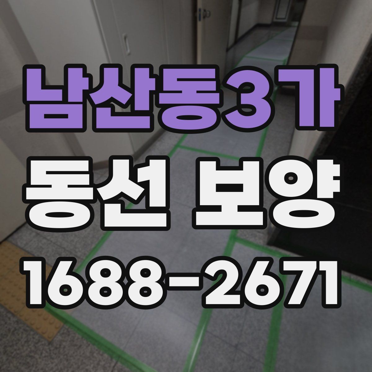 남산동3가 동선 보양 견적 비교할 때 살펴볼 포인트