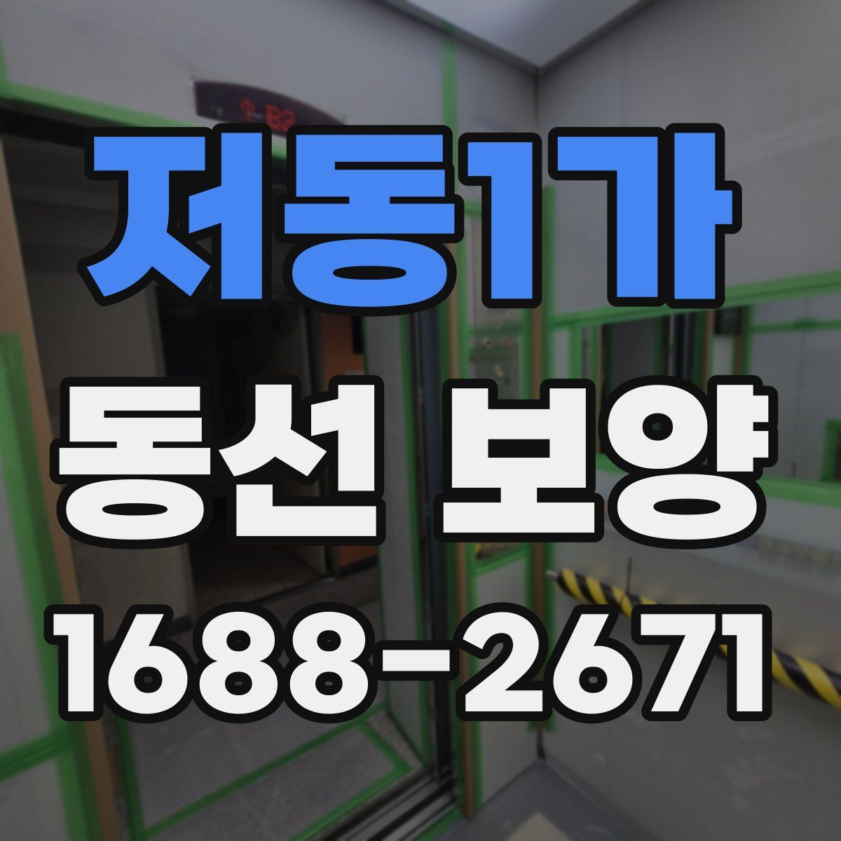 저동1가 동선 보양