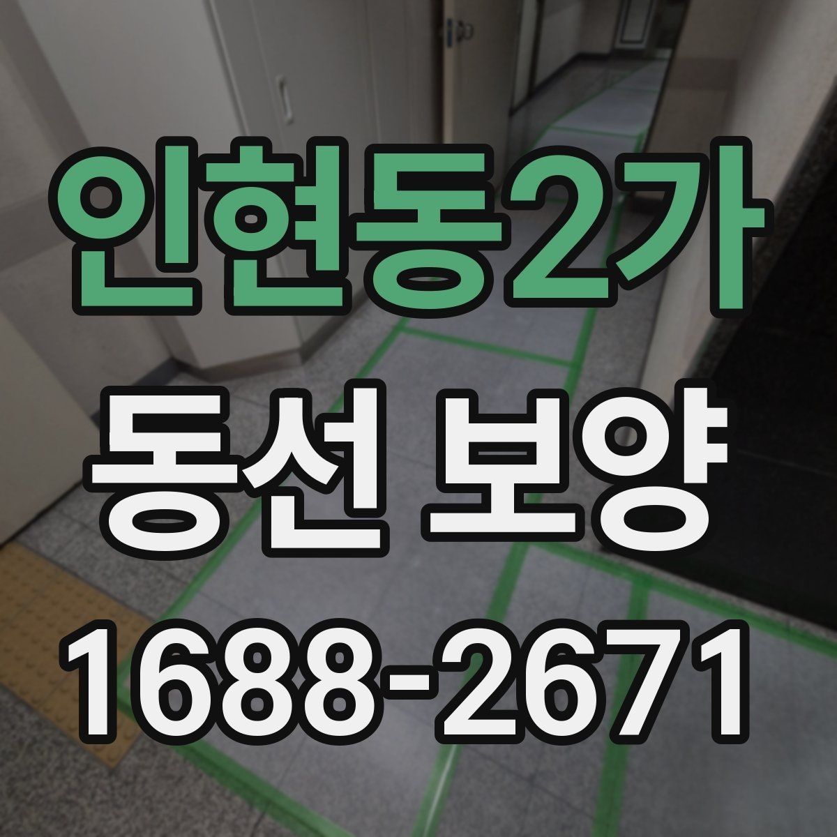 인현동2가 동선 보양 후 보수와 관리가 필요한 경우