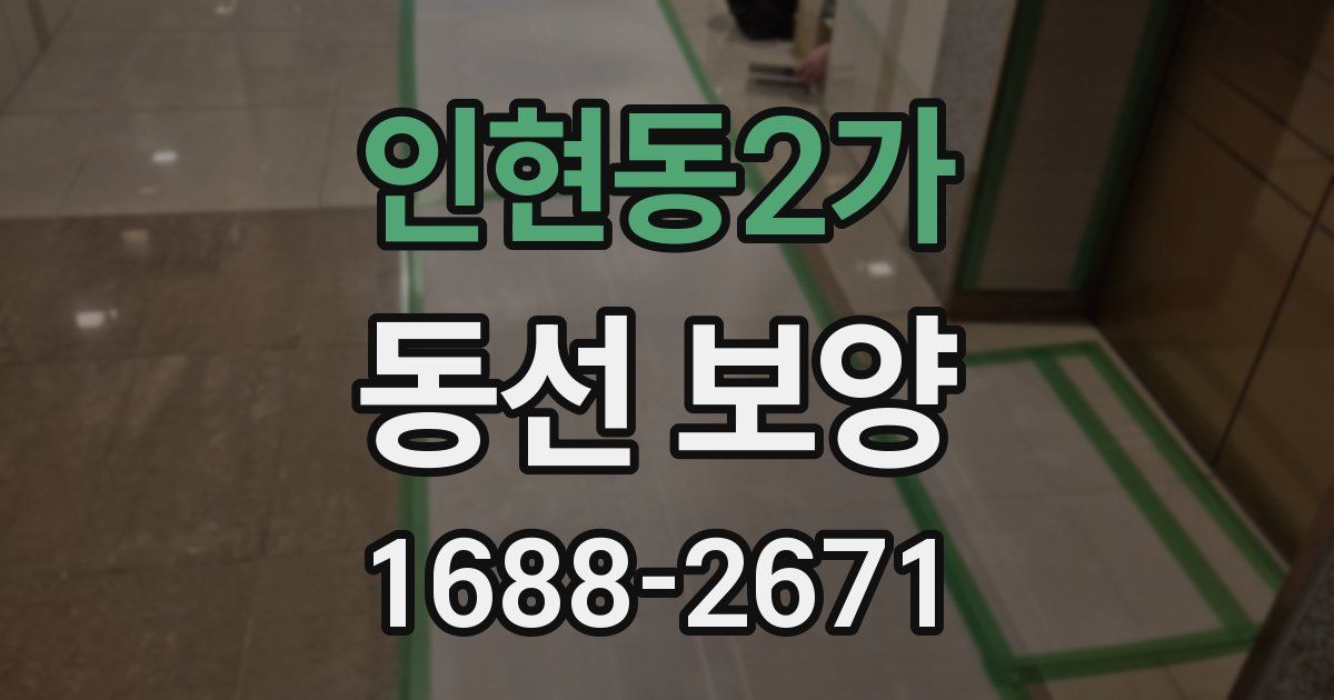 인현동2가 동선 보양