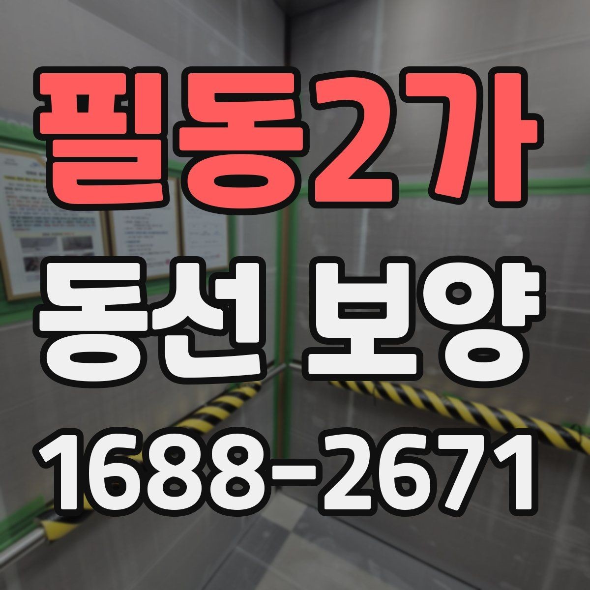 필동2가 동선 보양 시 먼지와 오염을 줄이는 방법