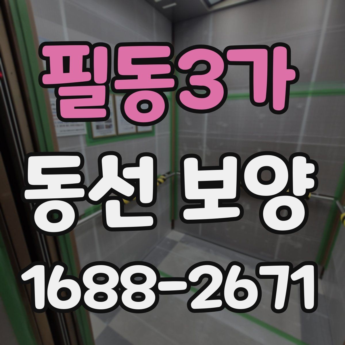 필동3가 동선 보양 현장에서 발생하는 변수와 대처