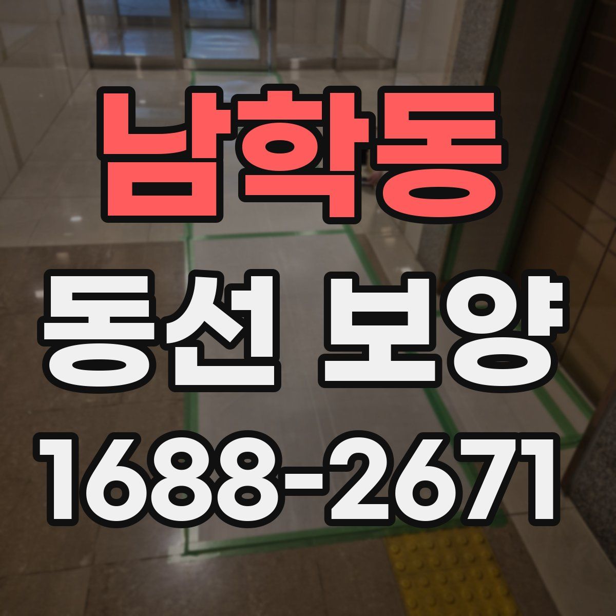 남학동 동선 보양