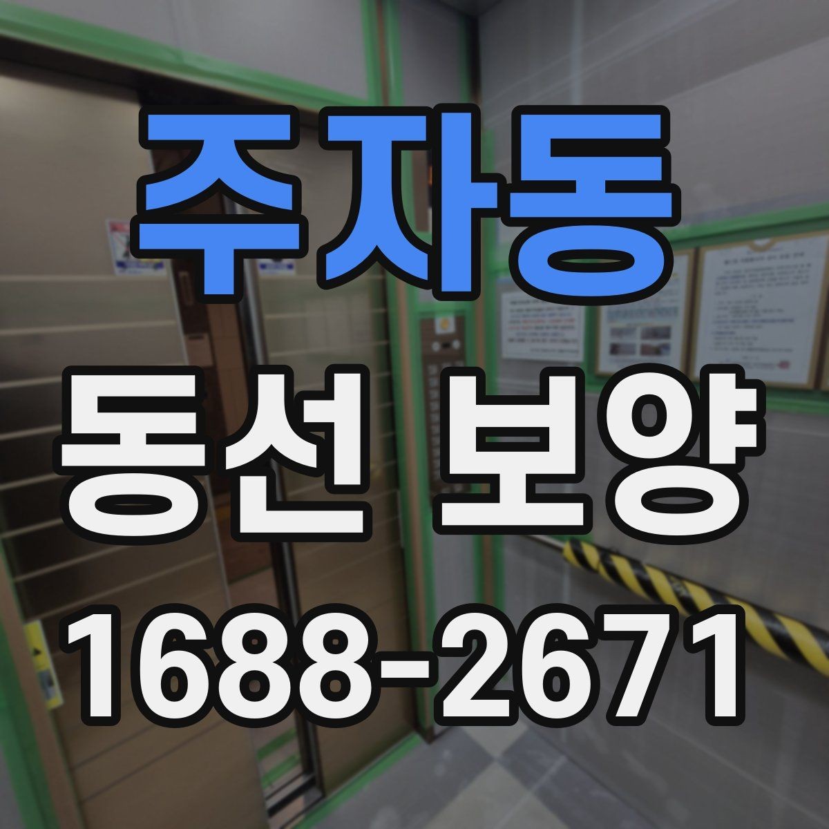 주자동 동선 보양 적용 범위를 정하는 실무 기준